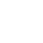 The Fast 800 logo.