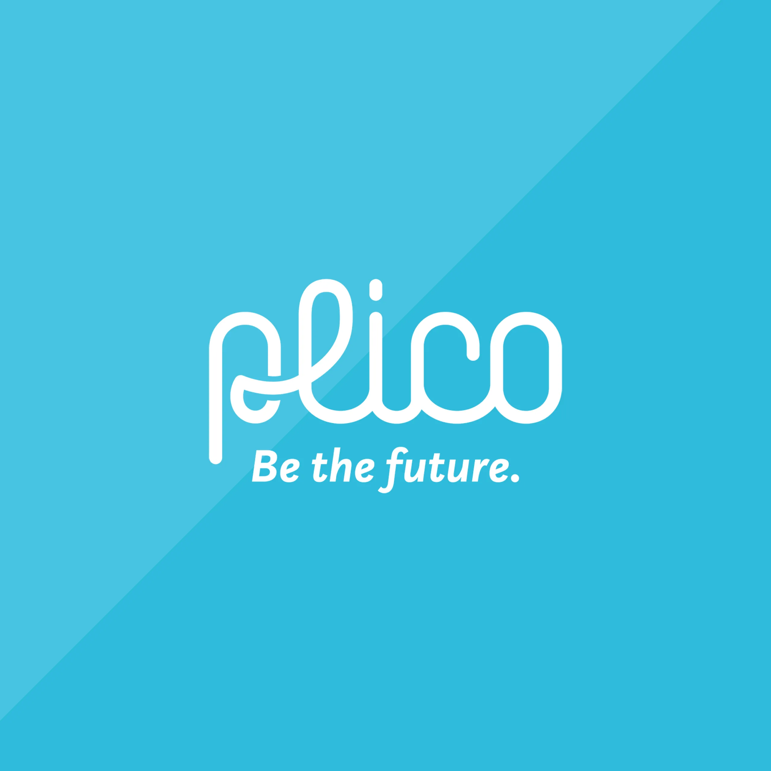 The Plico logo.